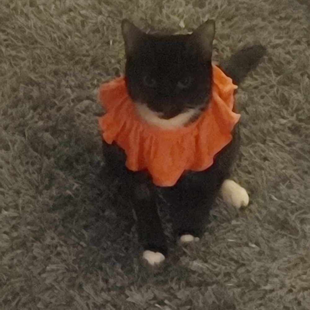 Meet your Posher, Joanne